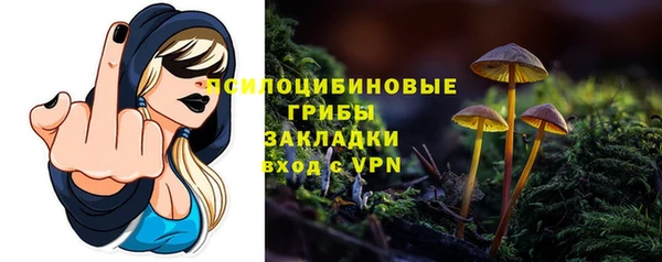 молекула духа Беломорск